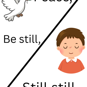 Prince of Peace - puzzle teaching resource